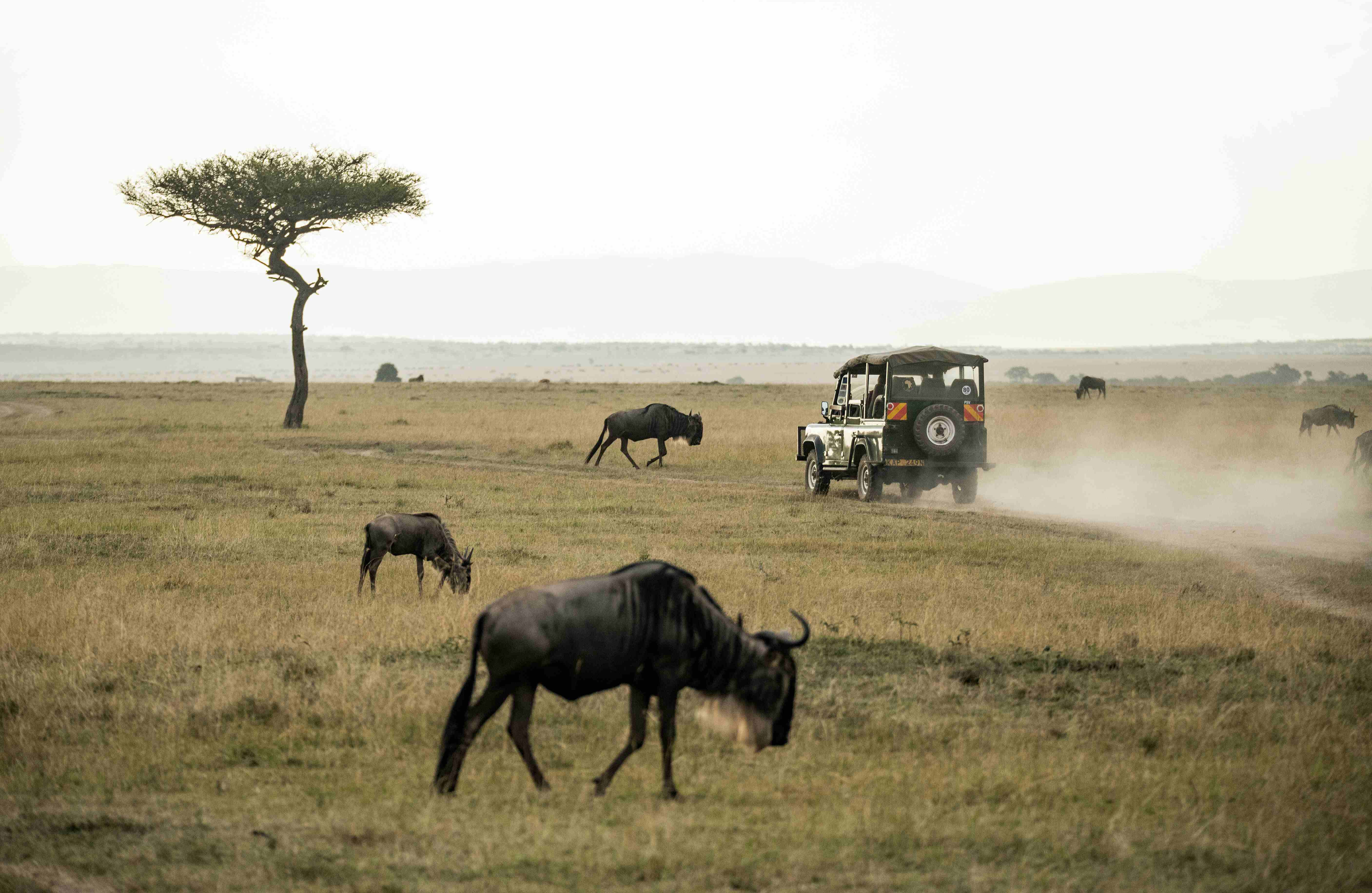 10 Days / 9 Nights Kenya Wilderness Tour