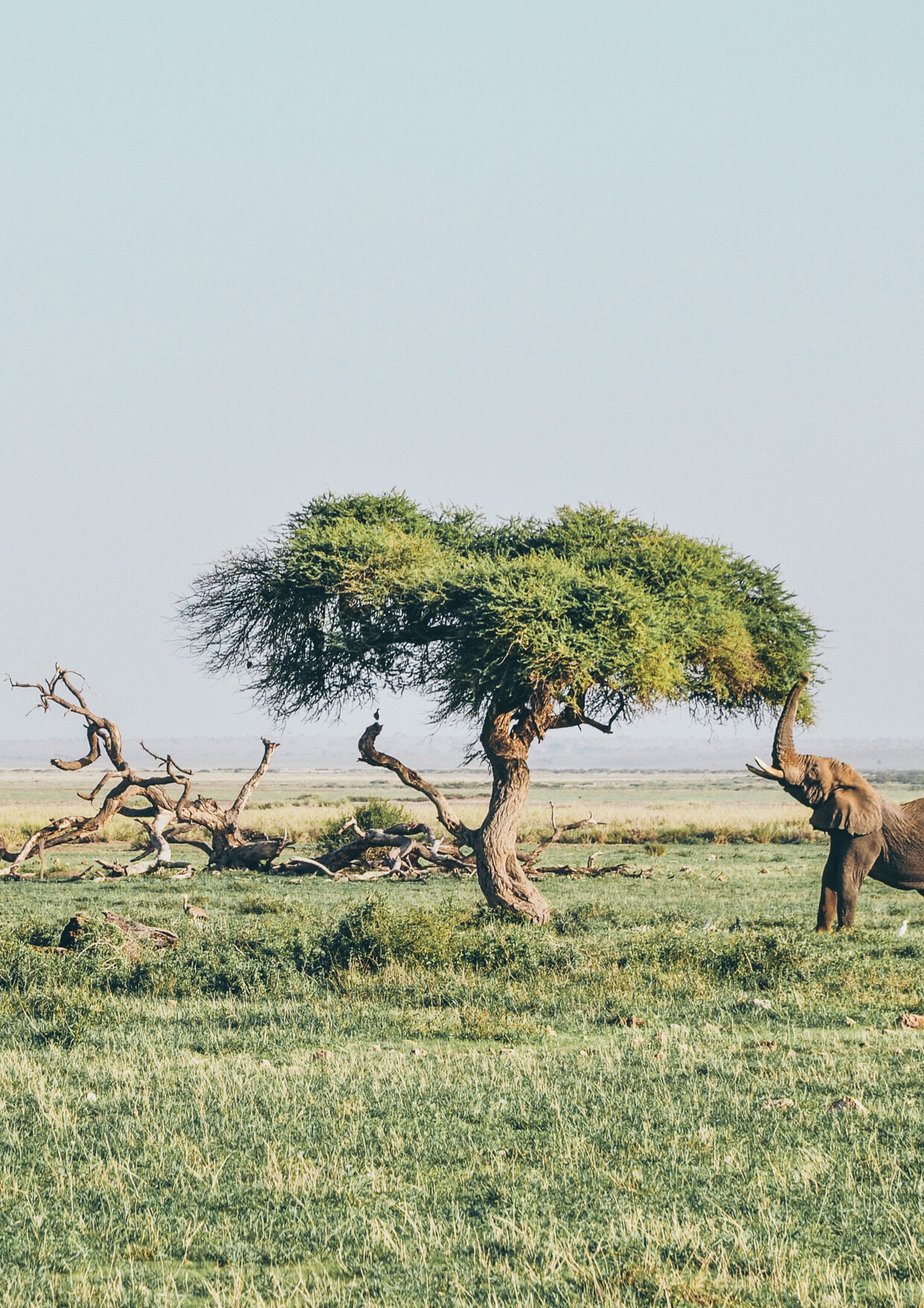 5 Days / 4 Nights Kings Of The Road Rally Tour